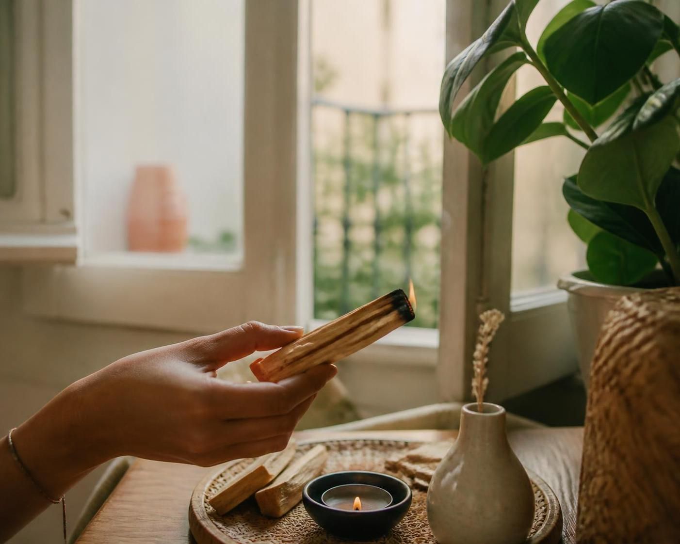 découvrez les secrets du palo santo, un arbre sacré utilisé pour purifier naturellement votre intérieur grâce à ses vertus authentiques et apaisantes.